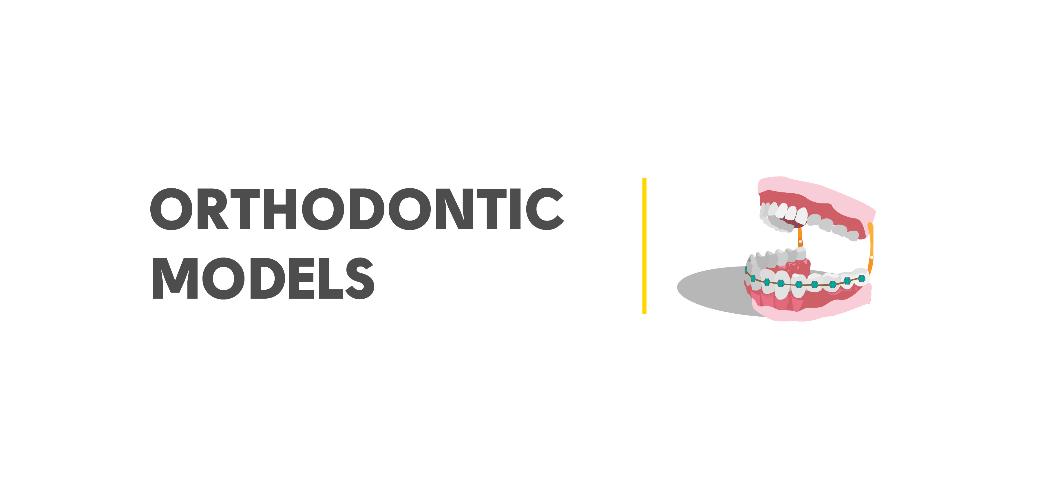 Orthodontic Models